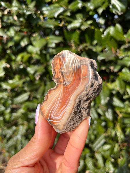 Indonesian Agate