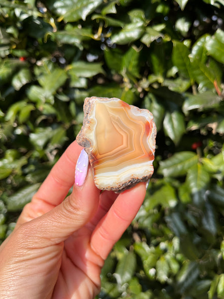 Indonesian Agate