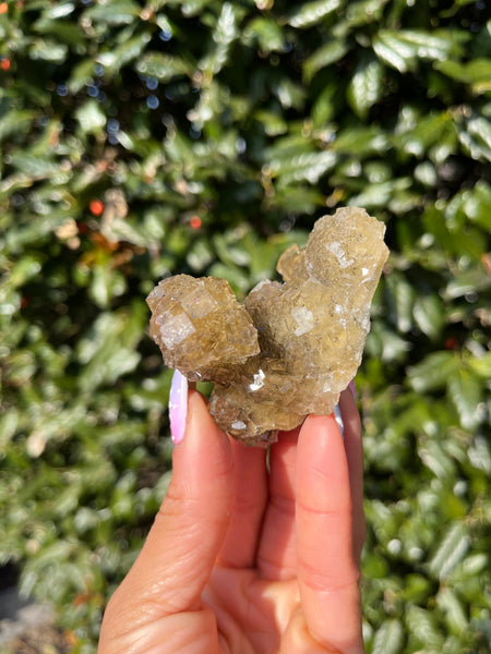 Moscona Mine Fluorite