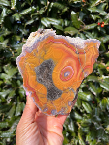 Laguna Agate