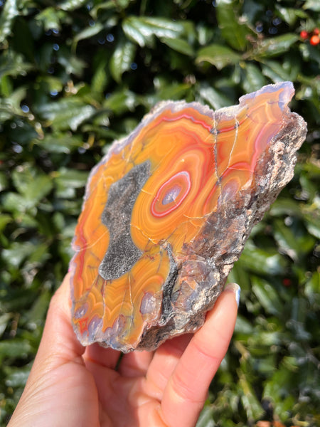 Laguna Agate