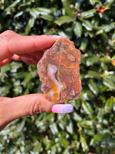 Laguna Agate