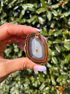 Coyamito Agate