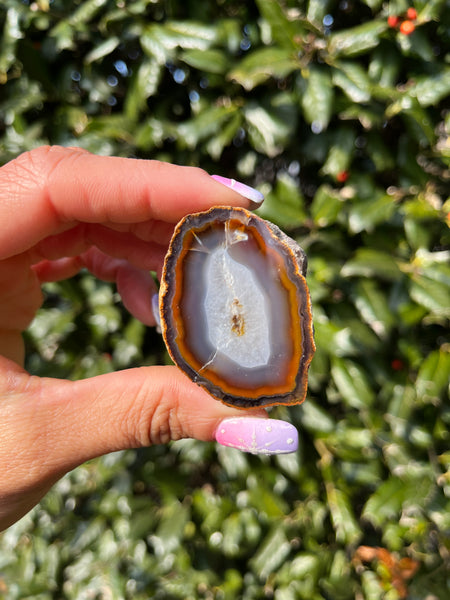 Coyamito Agate