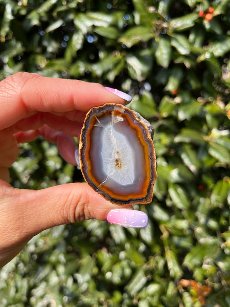 Coyamito Agate