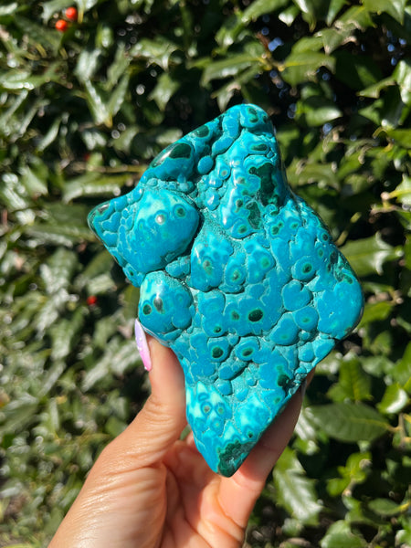 Malachite x Chrysocolla