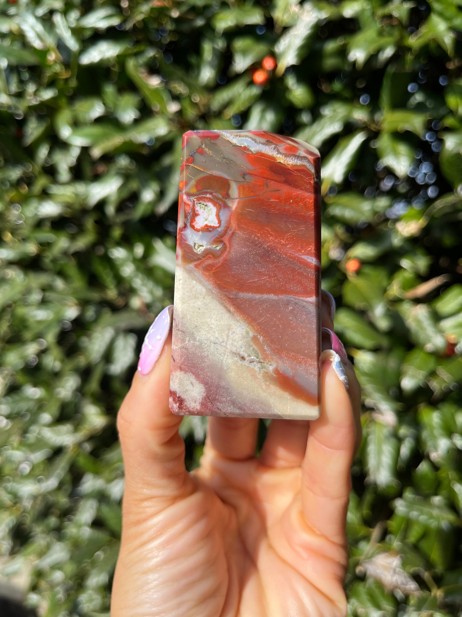 Unicorn Jasper Freeform