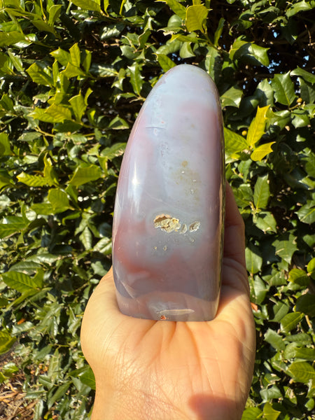 Mozambique Agate Freeform