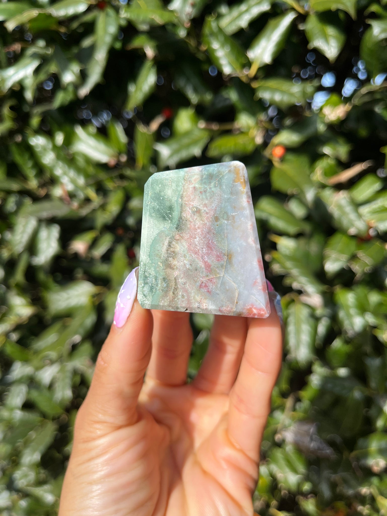 Unicorn Jasper Freeform