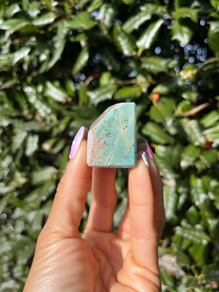 Unicorn Jasper Freeform