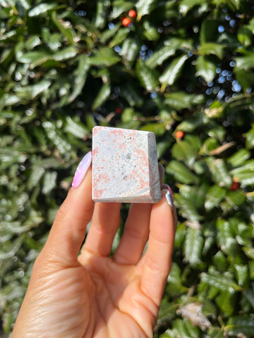 Unicorn Jasper Freeform