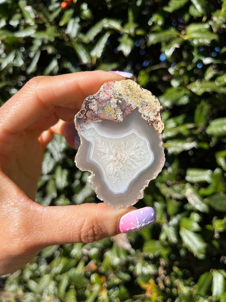 Double Sided Laguna Moss Agate