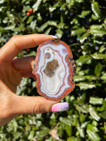 Coyamito Agate