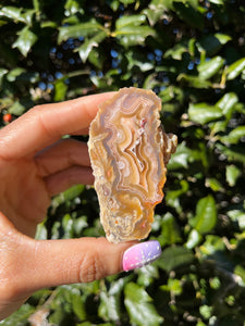 Laguna Agate