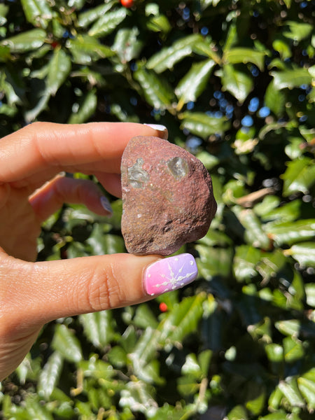 Coyamito Agate