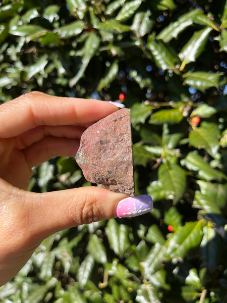 Coyamito Agate