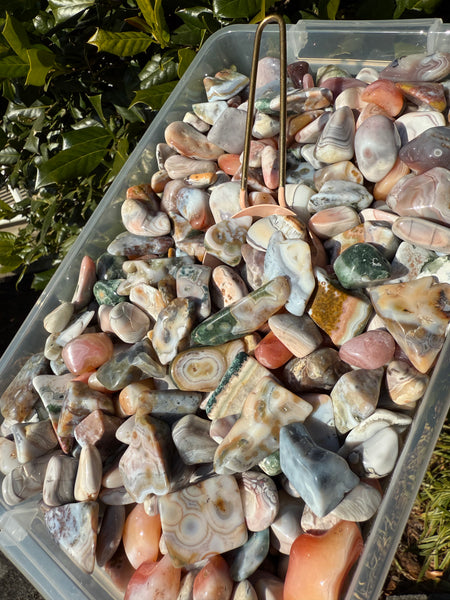 Crystal Gumbo Mix 3