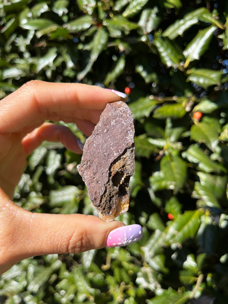 Coyamito Agate