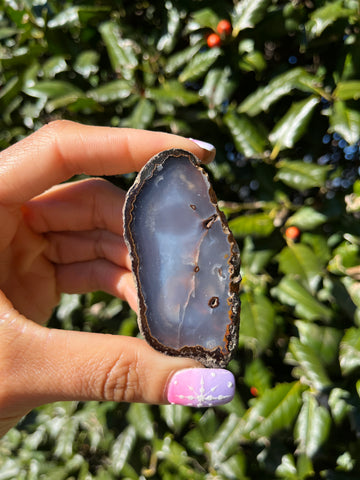 Coyamito Agate w/ Hematite