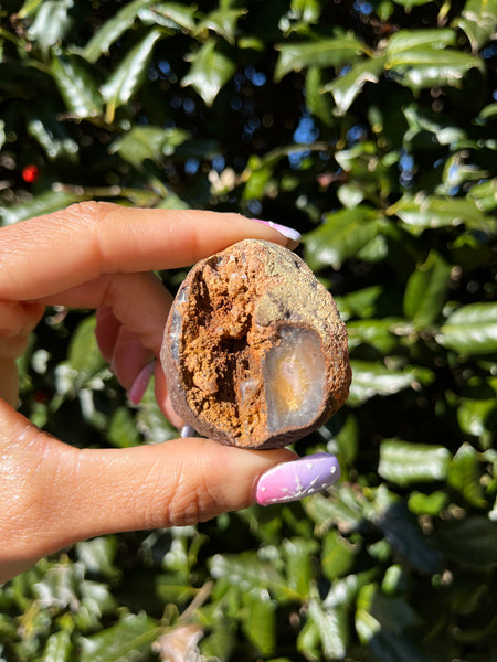 Coyamito Agate