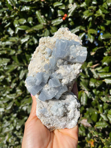 Celestite - Meckley's Quarry, PA