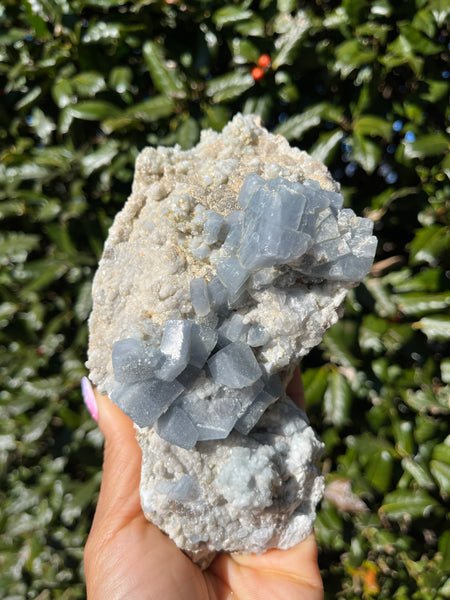 Celestite - Meckley's Quarry, PA