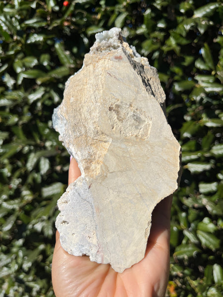 Celestite - Meckley's Quarry, PA