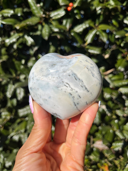 Sea Jasper Heart