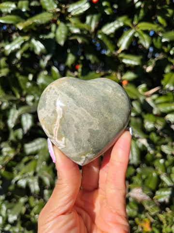 Sea Jasper Heart