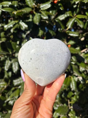 Sea Jasper Heart