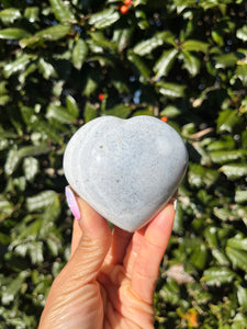 Sea Jasper Heart