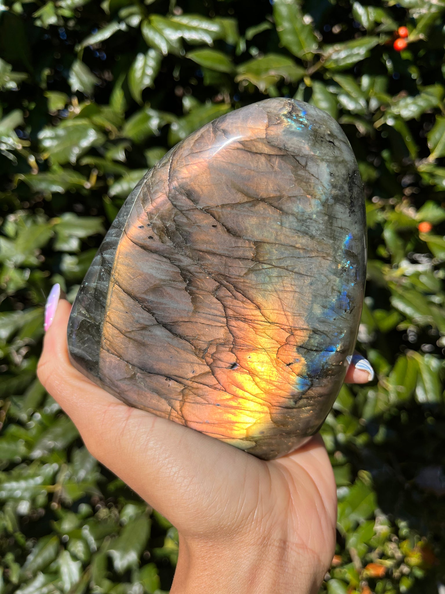 Labradorite Freeform