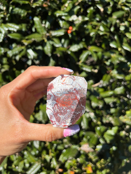 Crazy Lace Agate Freeform