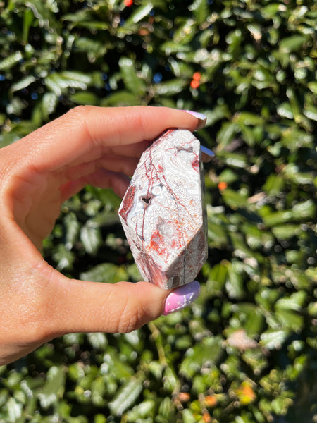 Crazy Lace Agate Freeform