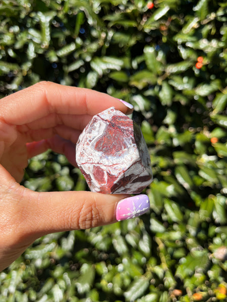 Crazy Lace Agate Freeform