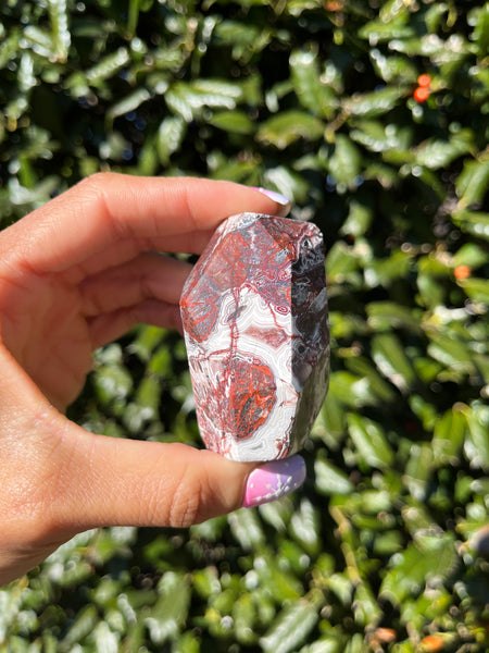 Crazy Lace Agate Freeform