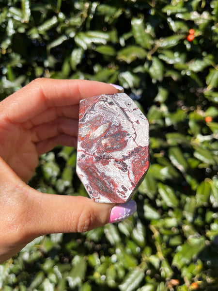 Crazy Lace Agate Freeform