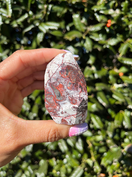 Crazy Lace Agate Freeform