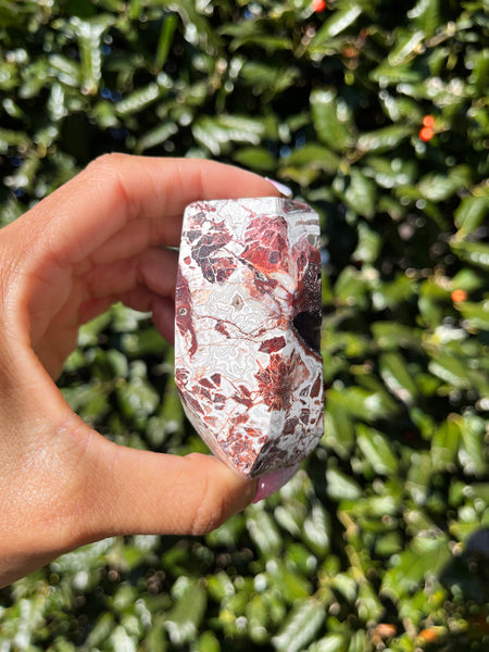 Crazy Lace Agate Freeform