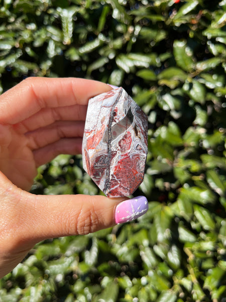 Crazy Lace Agate Freeform