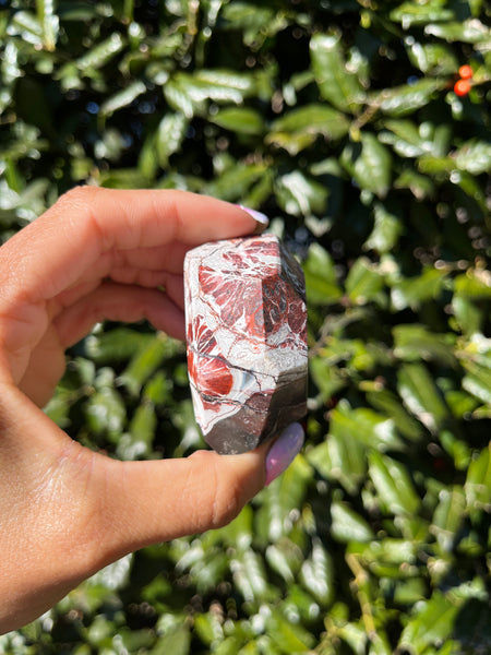 Crazy Lace Agate Freeform