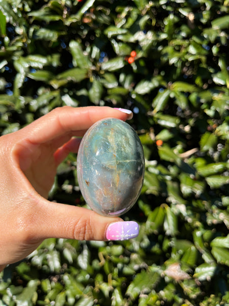 Unicorn Jasper Shiva