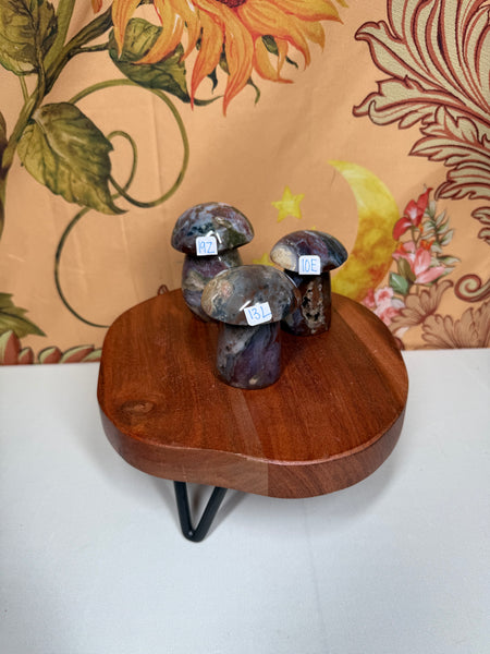 KIRSTEN Live Sale