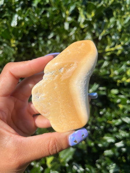Polished Coral