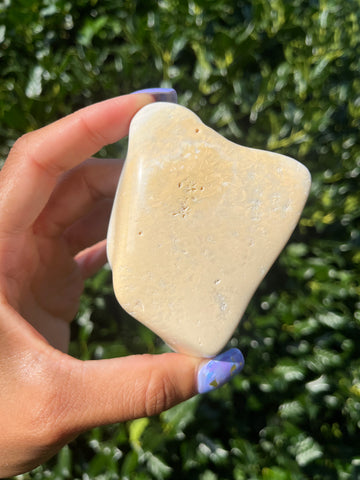 Polished Coral