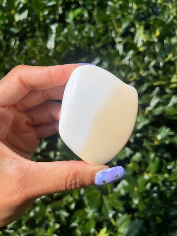 Polished Coral
