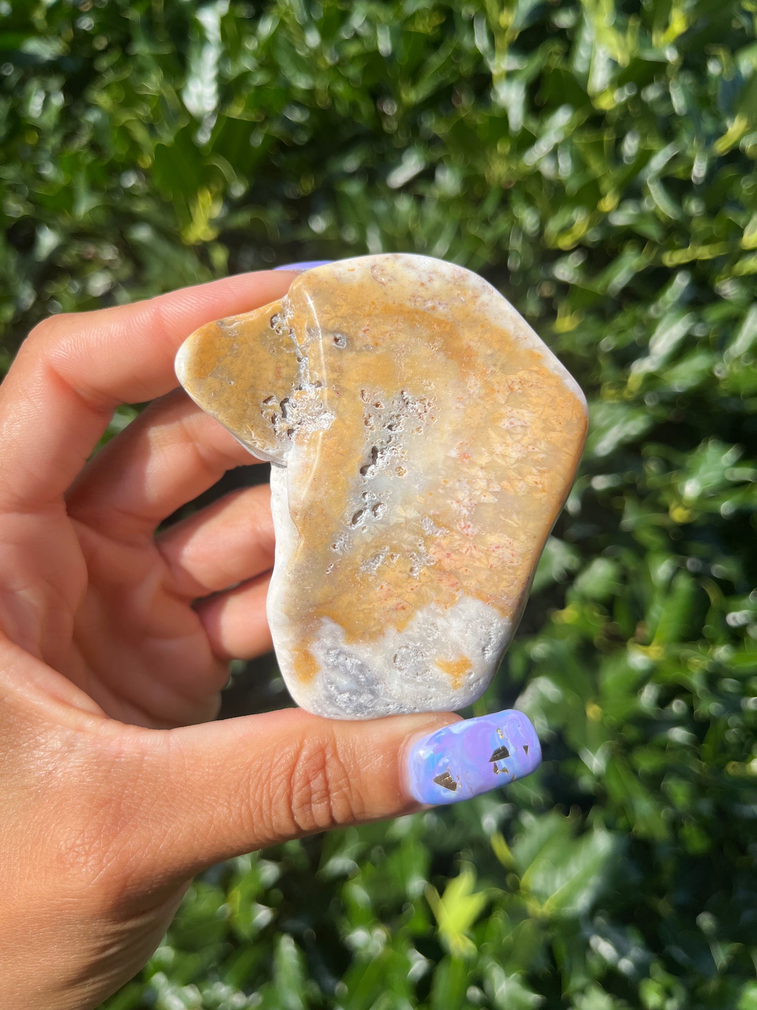 Polished Coral