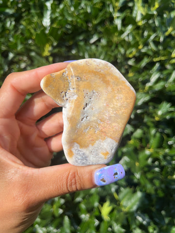 Polished Coral
