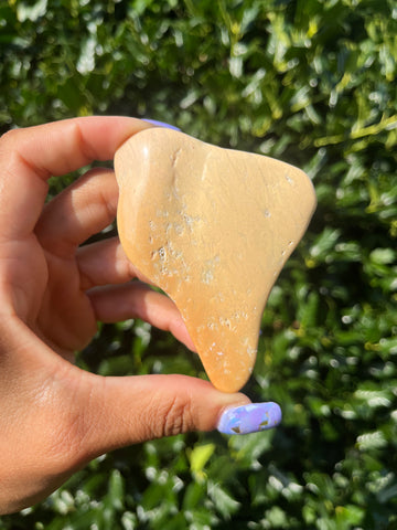 Polished Coral