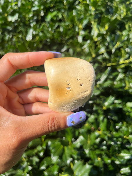 Polished Coral